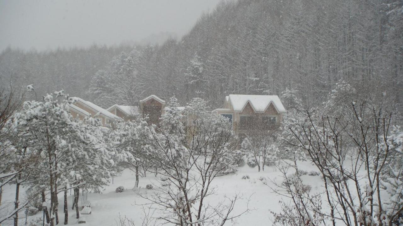 Shinevalley Pension & Hotel Pyeongchang Exterior photo