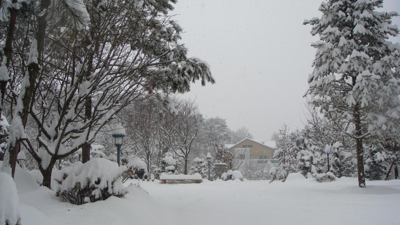 Shinevalley Pension & Hotel Pyeongchang Exterior photo